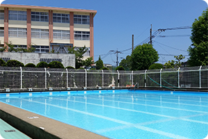 学校のプール